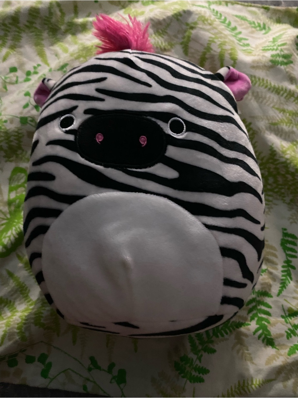 Tracey the zebra Squishmallow